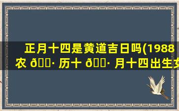 正月十四是黄道吉日吗(1988农 🌷 历十 🕷 月十四出生女)